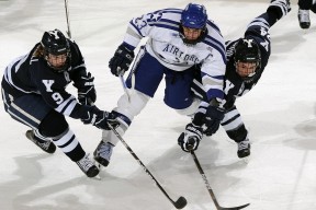 哥伦比亚橄榄球展现新生力，是否能挑战传统强队？，哥伦比亚乙