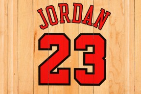 林丹回忆初次夺冠称压力前所未有，林丹dzs